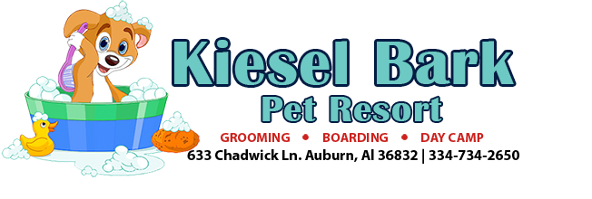 Kiesel Bark Doggie Daycare Logo